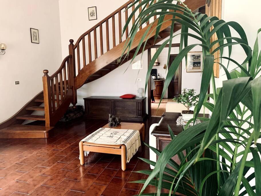 Appartamento Raffinatezza rustica nella campagna Veneziana Canton  Esterno foto