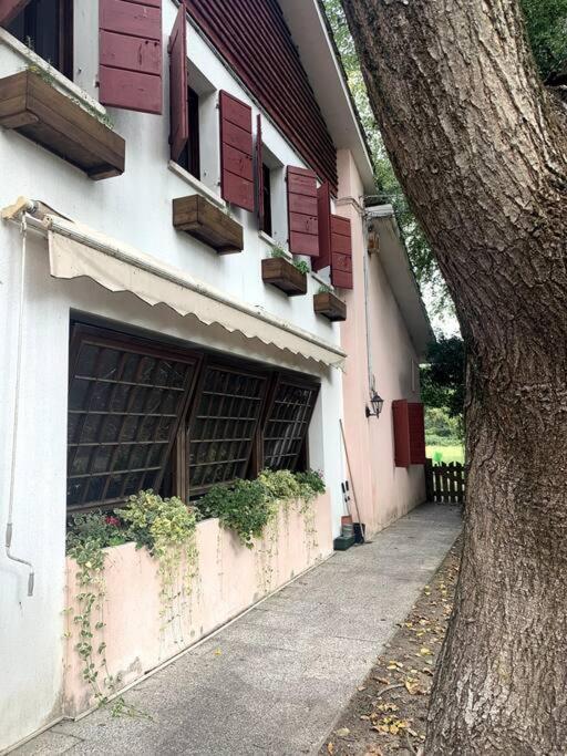 Appartamento Raffinatezza rustica nella campagna Veneziana Canton  Esterno foto
